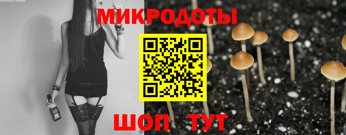 Долгопрудный  Галлюциногенные грибы Psilocybine cubensis  Псилоцибиновые грибы Cubensis  Вход с VPN 